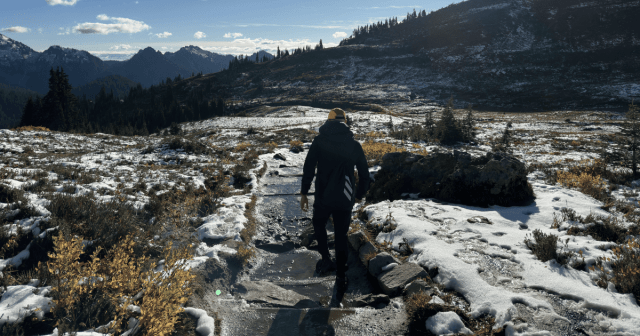 Netherlands World Cup