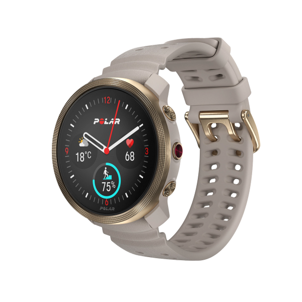 Netherlands World Cup