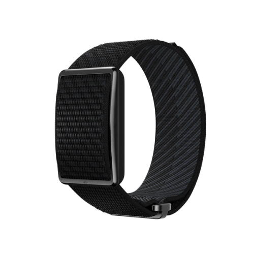 Netherlands World Cup